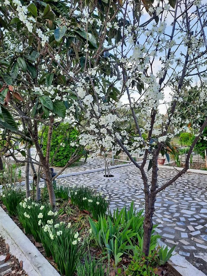 Aktaia Villa Ierissós